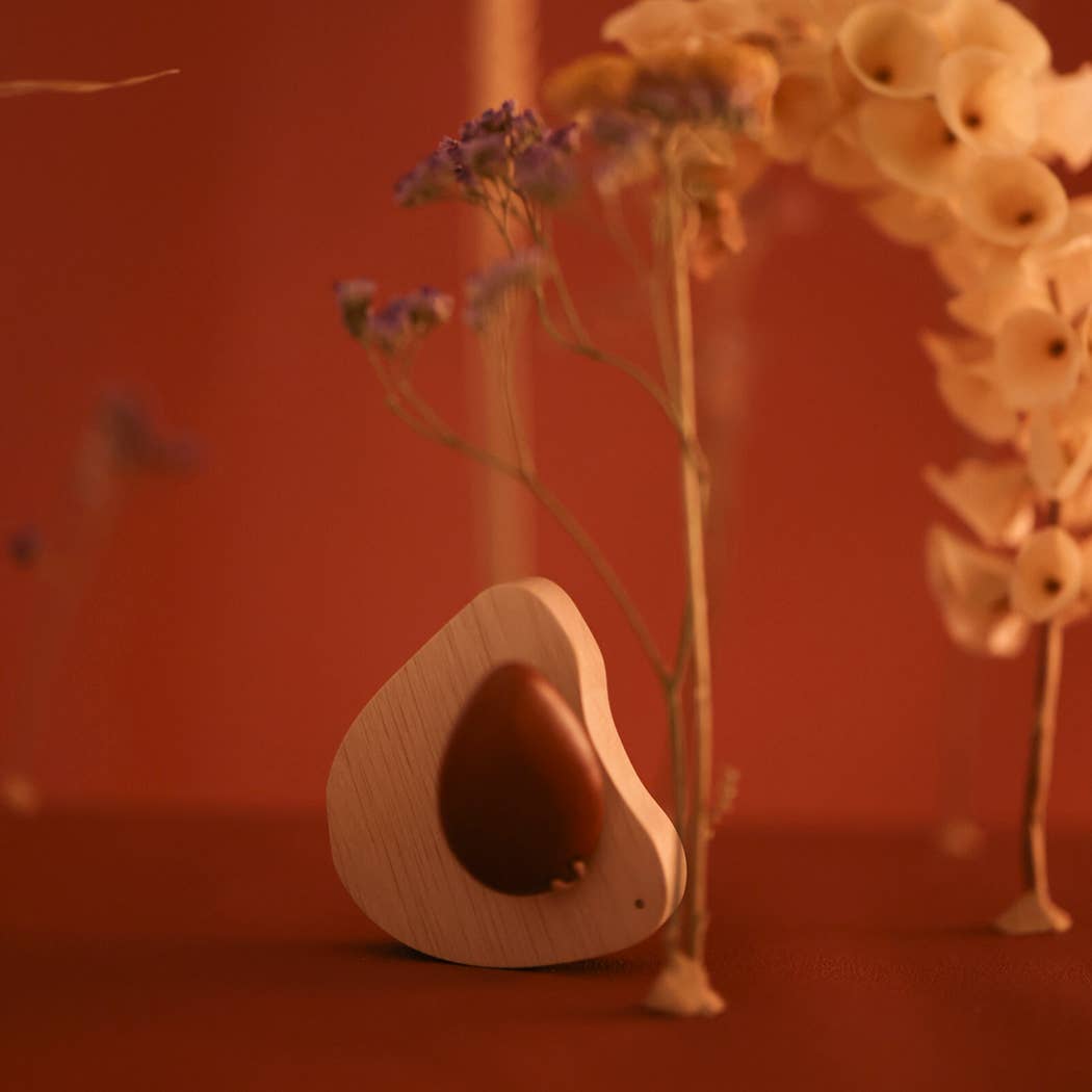 WOODEN SWALLOW 1+