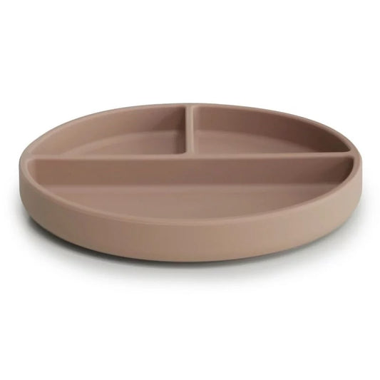 SILICONE PLATE 3