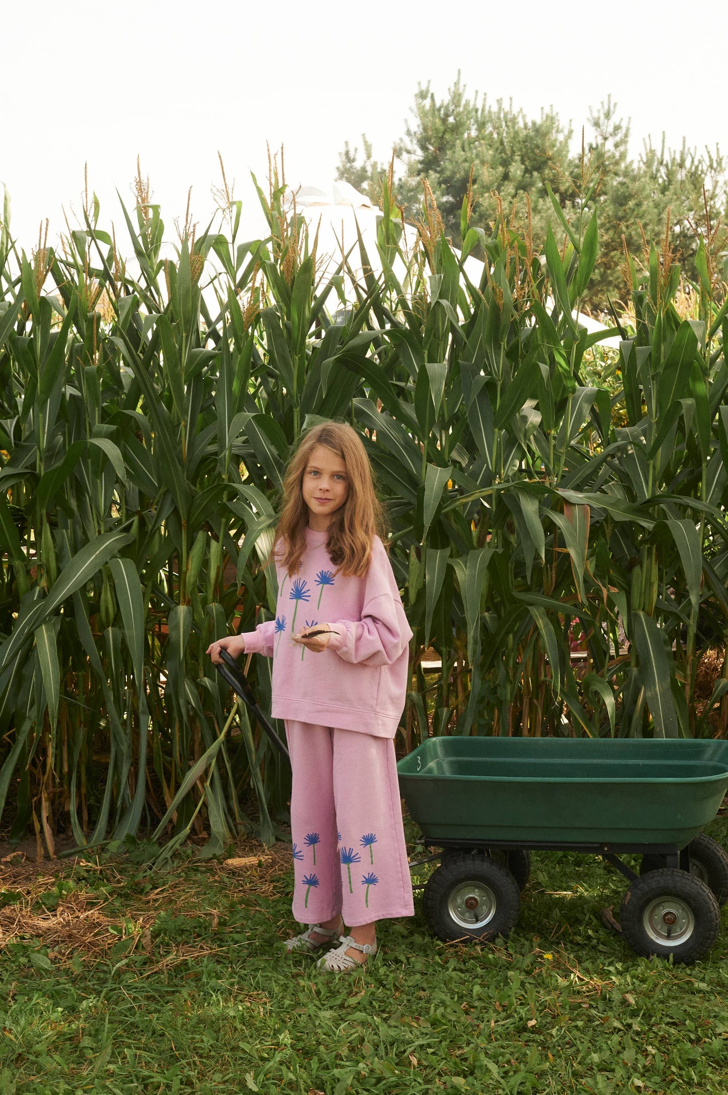 ORGANIC COTTON CORNFLOWER SWEATSHIRT: Pink / 100% Organic Cotton / 5-6 Y