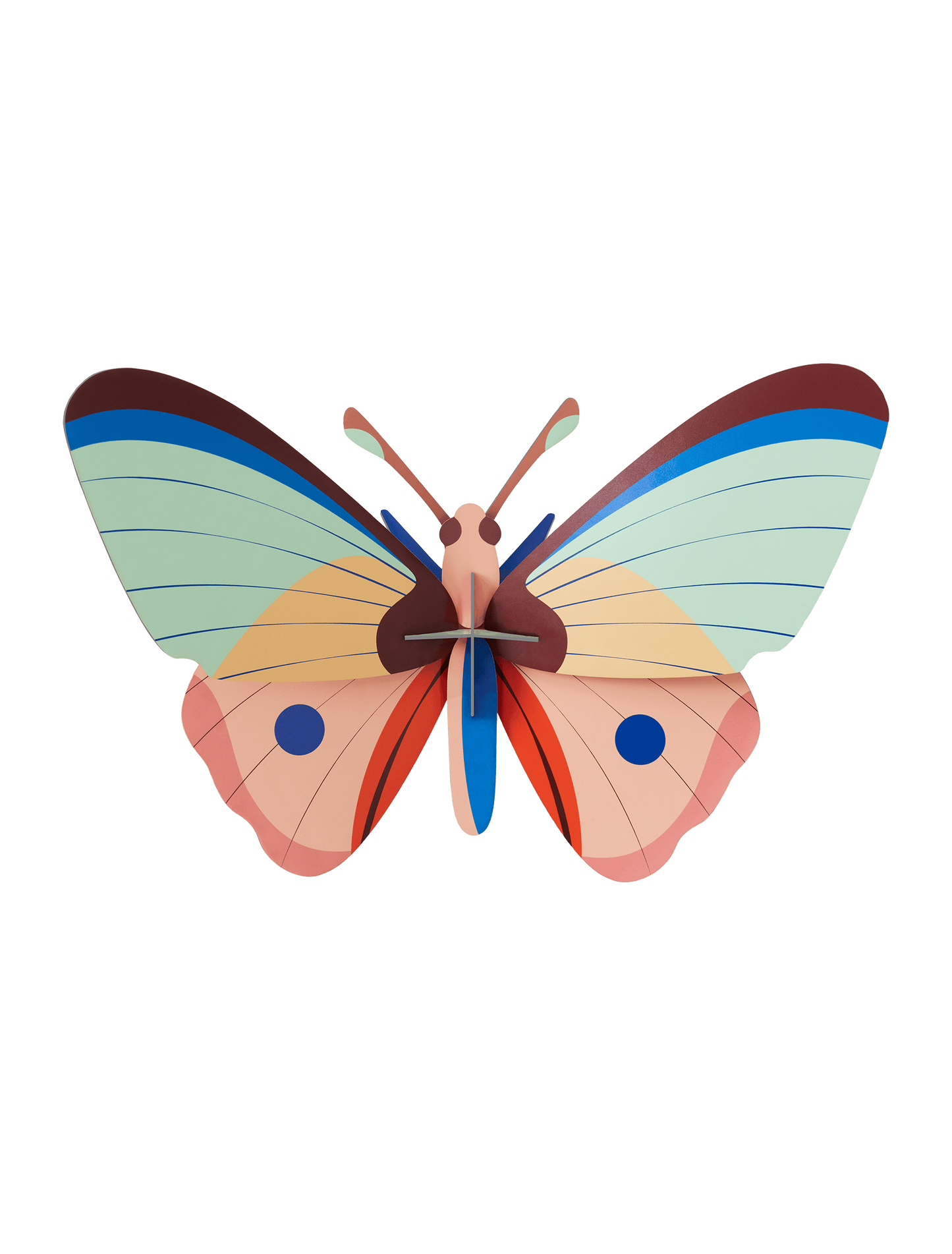 CATTLEHEART BUTTERFLY