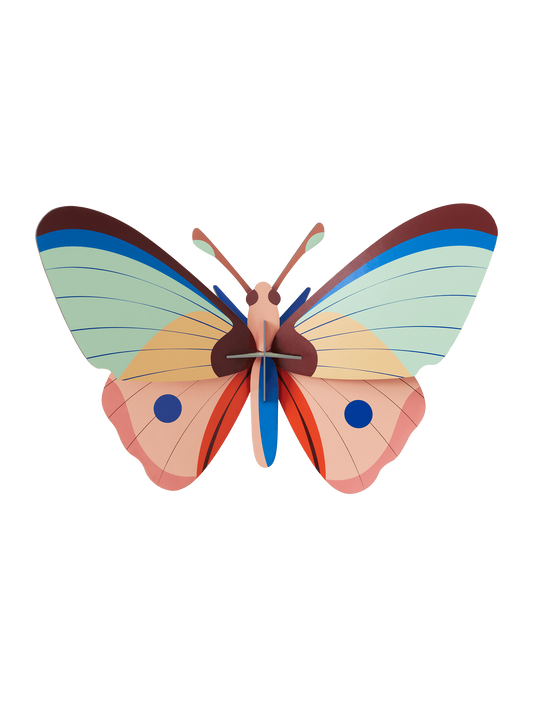 CATTLEHEART BUTTERFLY