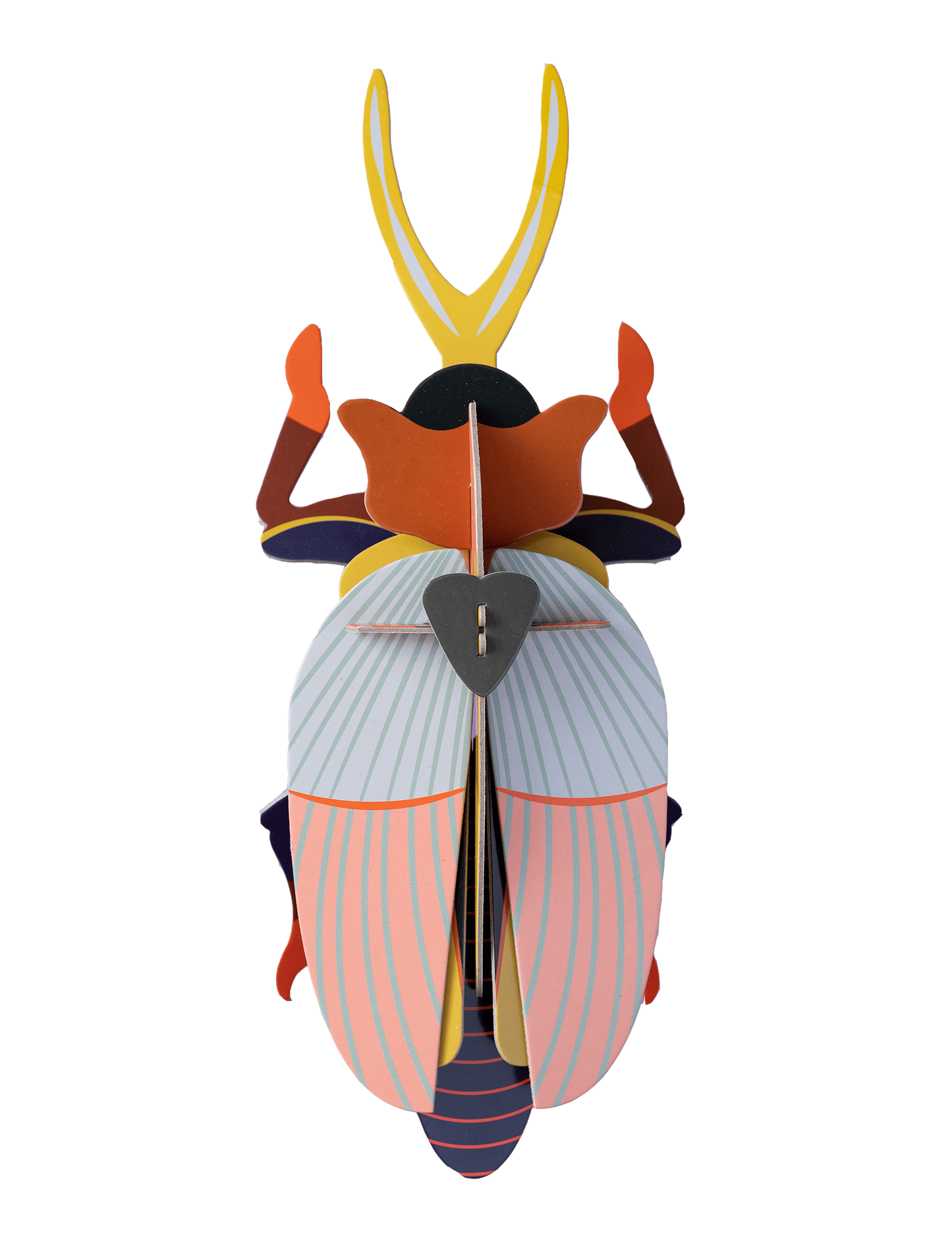 RHINOCEROS BEETLE