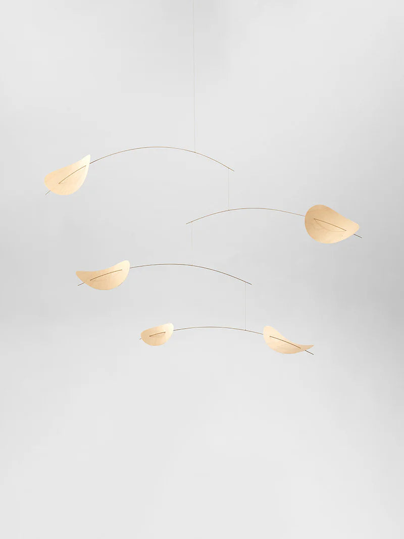 Drifting Clouds | Nature | M