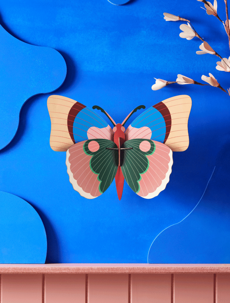 CEPORA BUTTERFLY