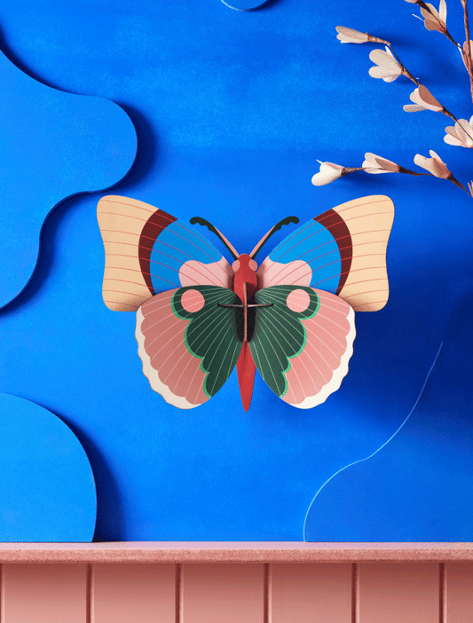 CEPORA BUTTERFLY
