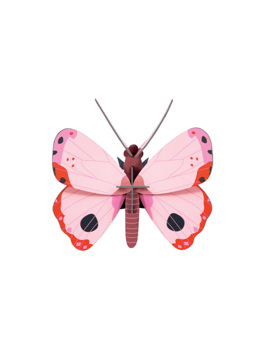 ROSORA BUTTERFLY