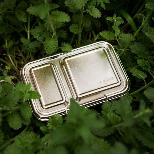 Haps box - two compartments