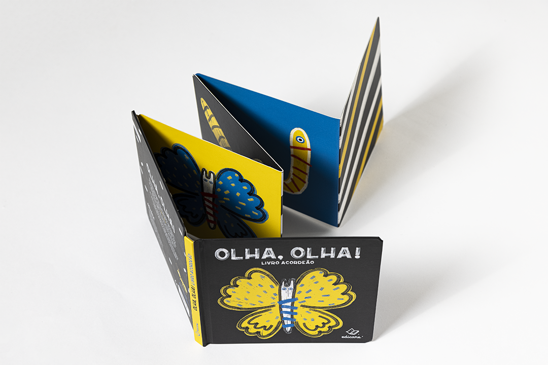 ACCORDION BOOK