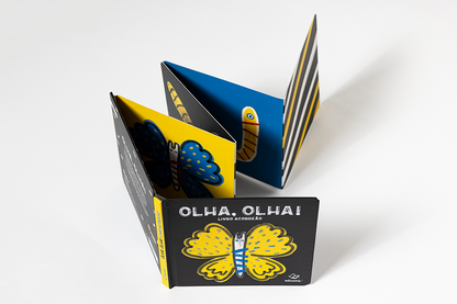 ACCORDION BOOK