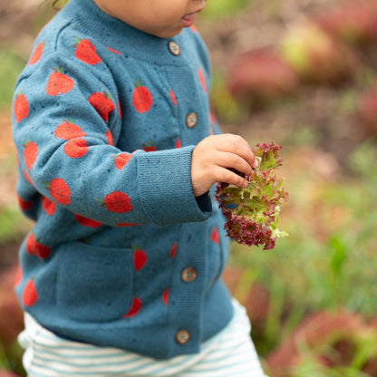 Apple A Day Knitted Cardigan: Blue / 3-4y