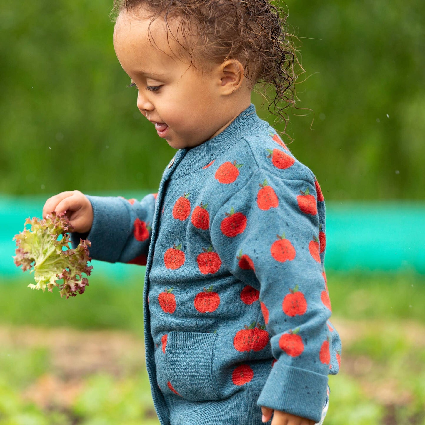 Apple A Day Knitted Cardigan: Blue / 4-5y