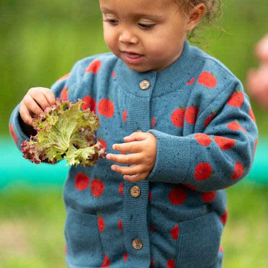Apple A Day Knitted Cardigan: Blue / 3-4y