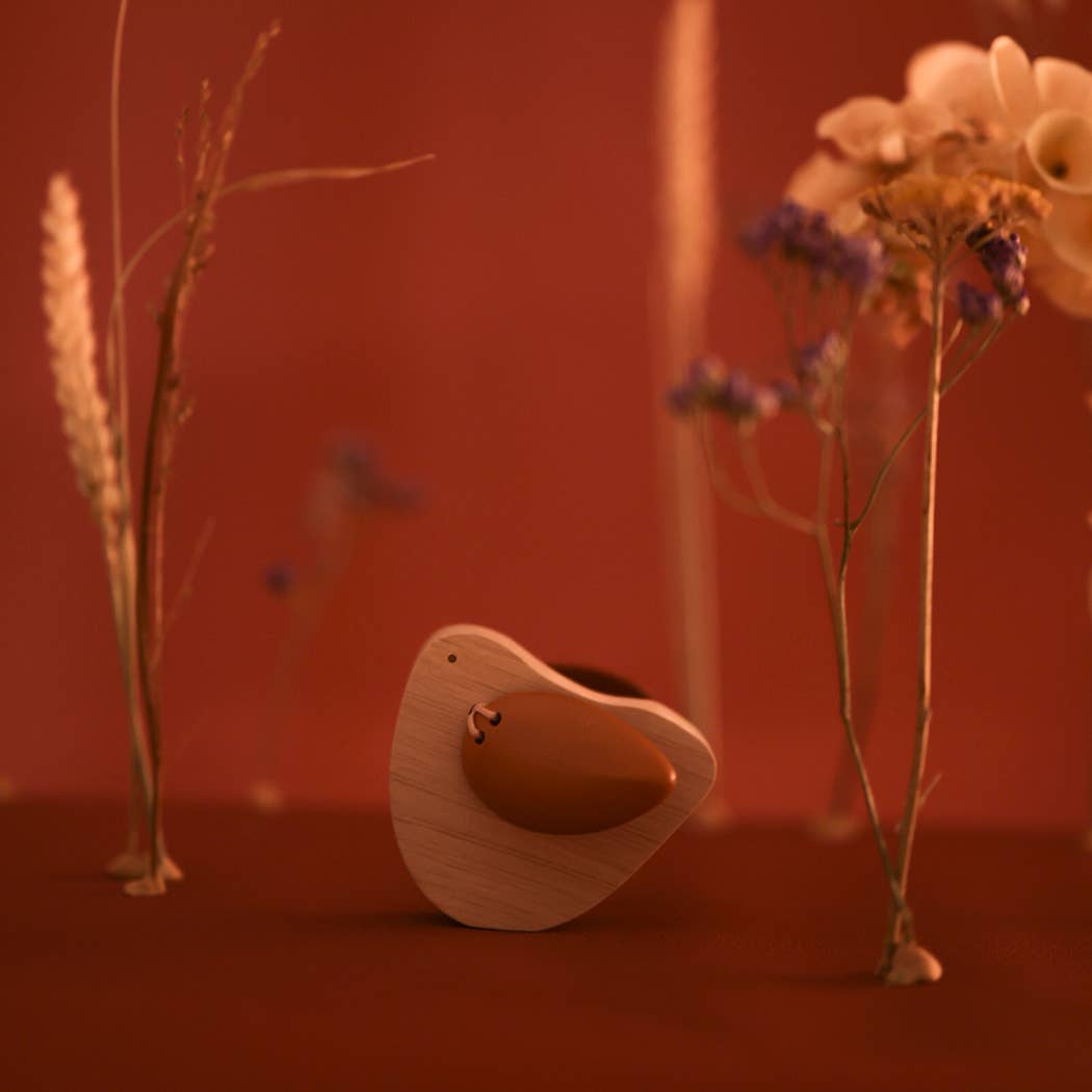WOODEN SWALLOW 1+