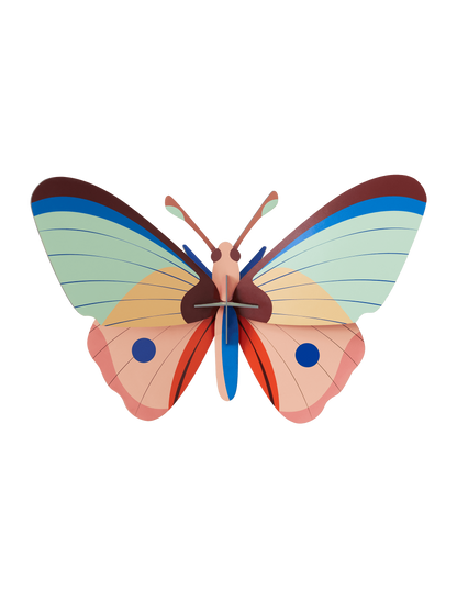CATTLEHEART BUTTERFLY