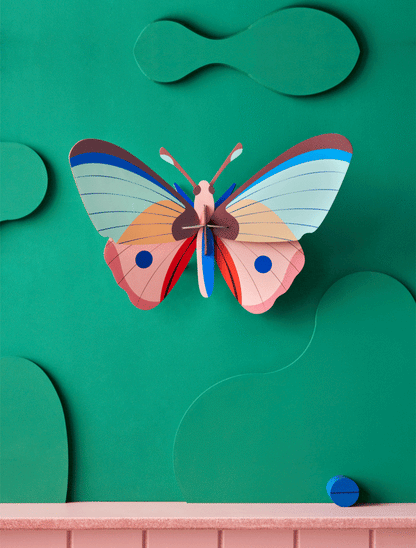 CATTLEHEART BUTTERFLY