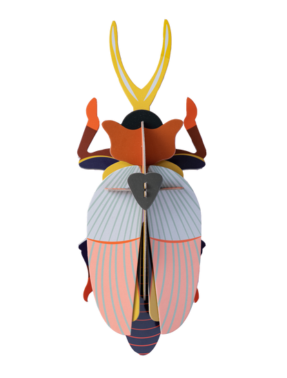 RHINOCEROS BEETLE