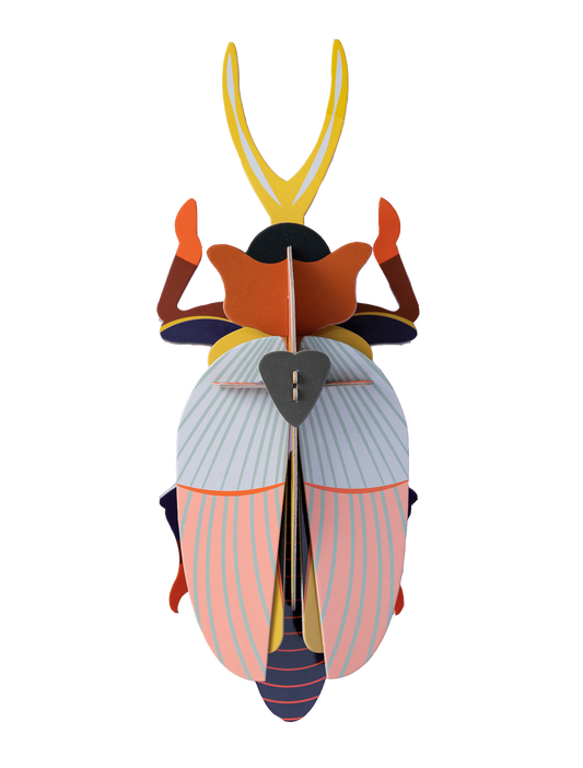 RHINOCEROS BEETLE