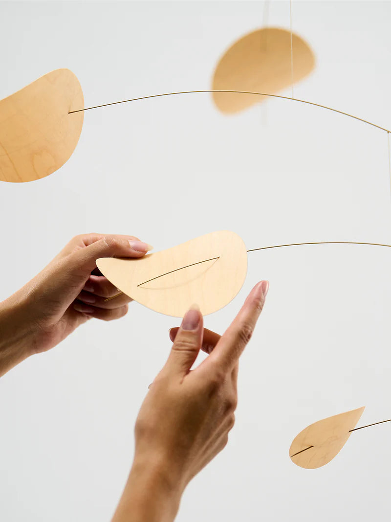 Drifting Clouds | Nature | M