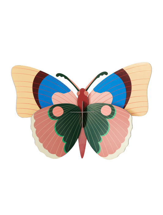 CEPORA BUTTERFLY