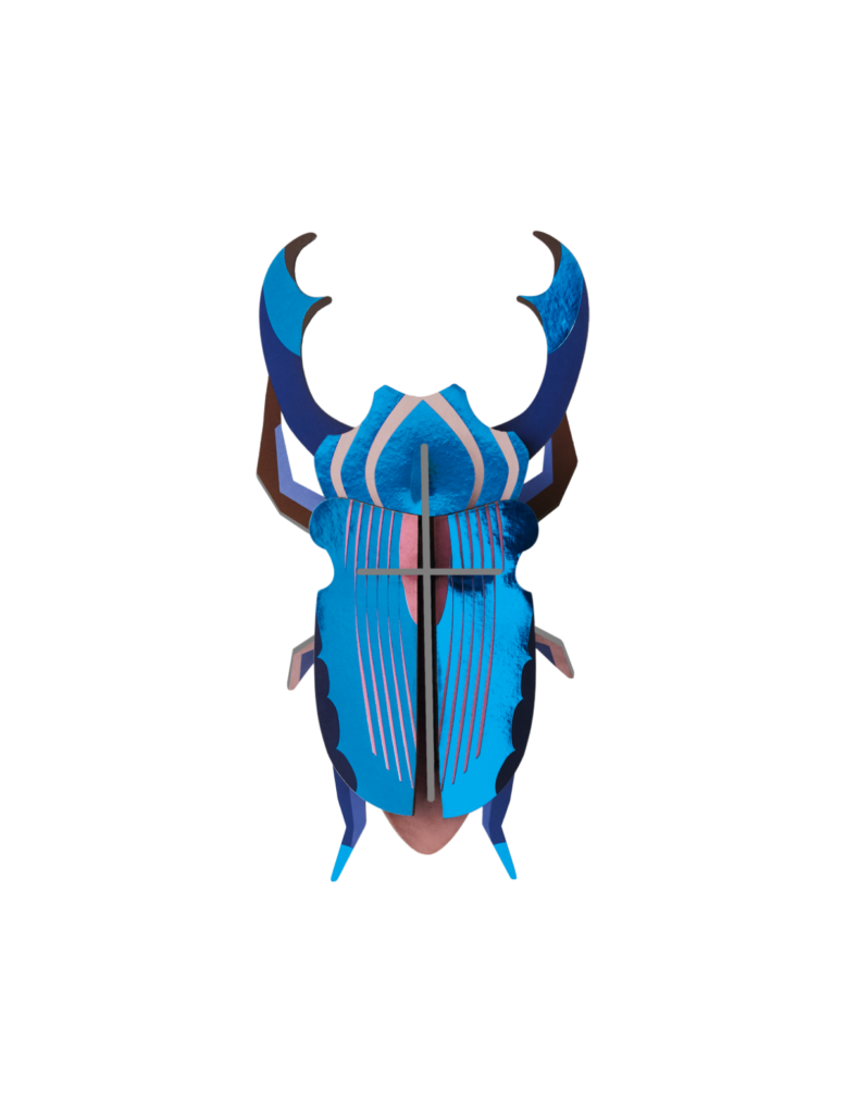 AZURE STAG BEETLE