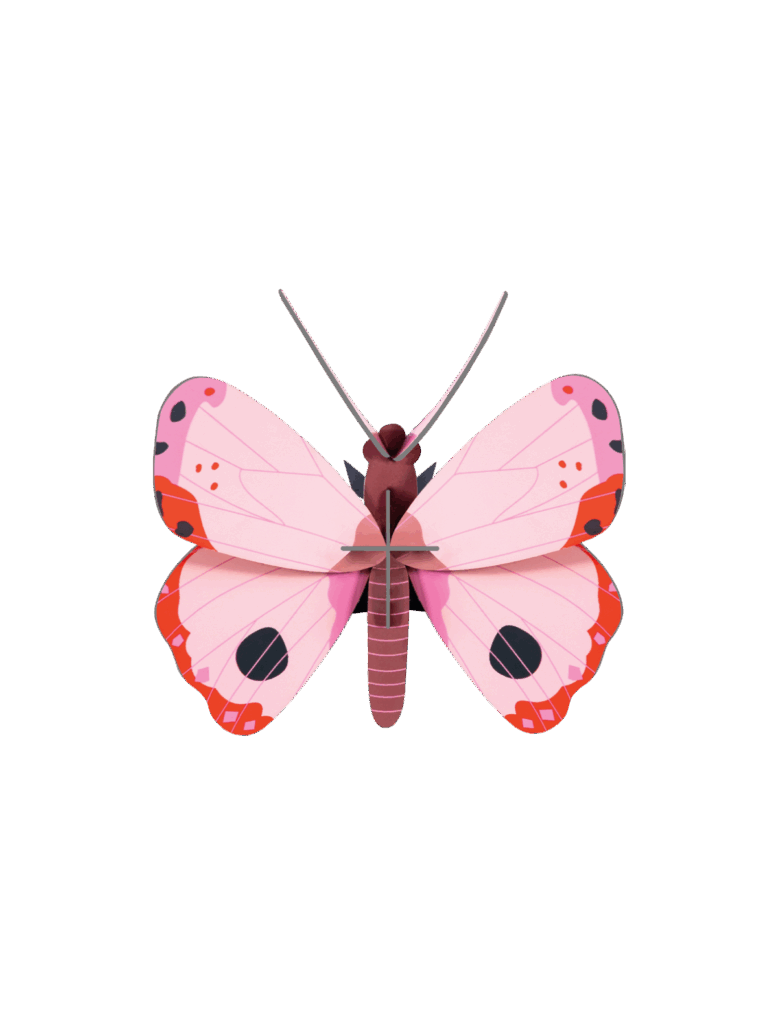 ROSORA BUTTERFLY