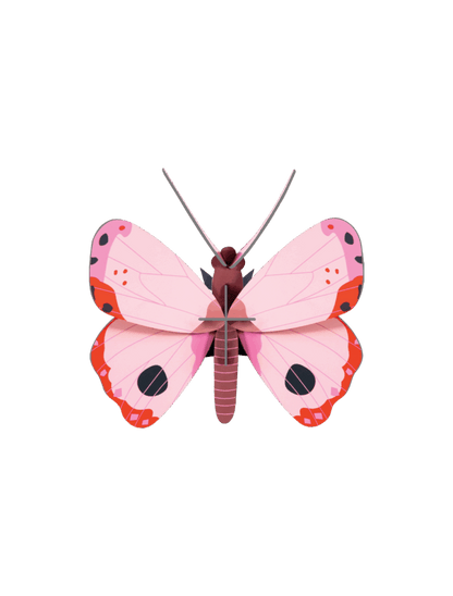 ROSORA BUTTERFLY
