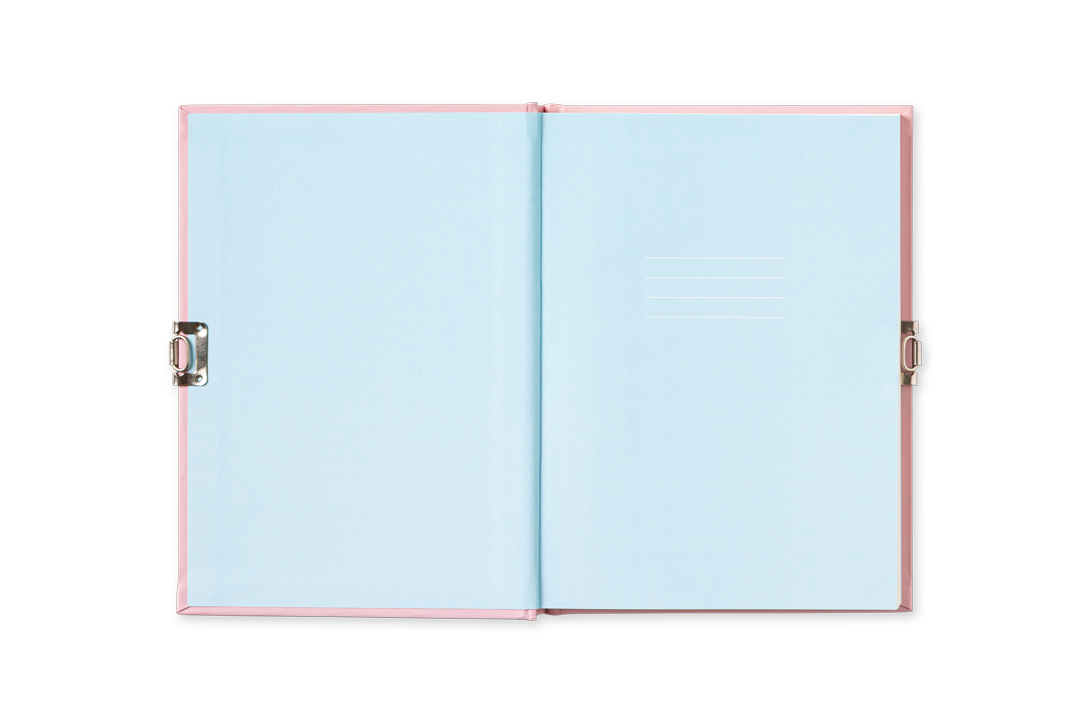 PINK DIARY