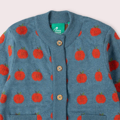 Apple A Day Knitted Cardigan: Blue / 4-5y