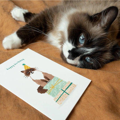 Cat Birthday Card