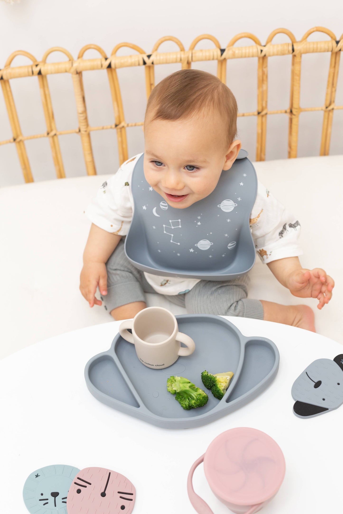 MILO THE DOG DISH GREY